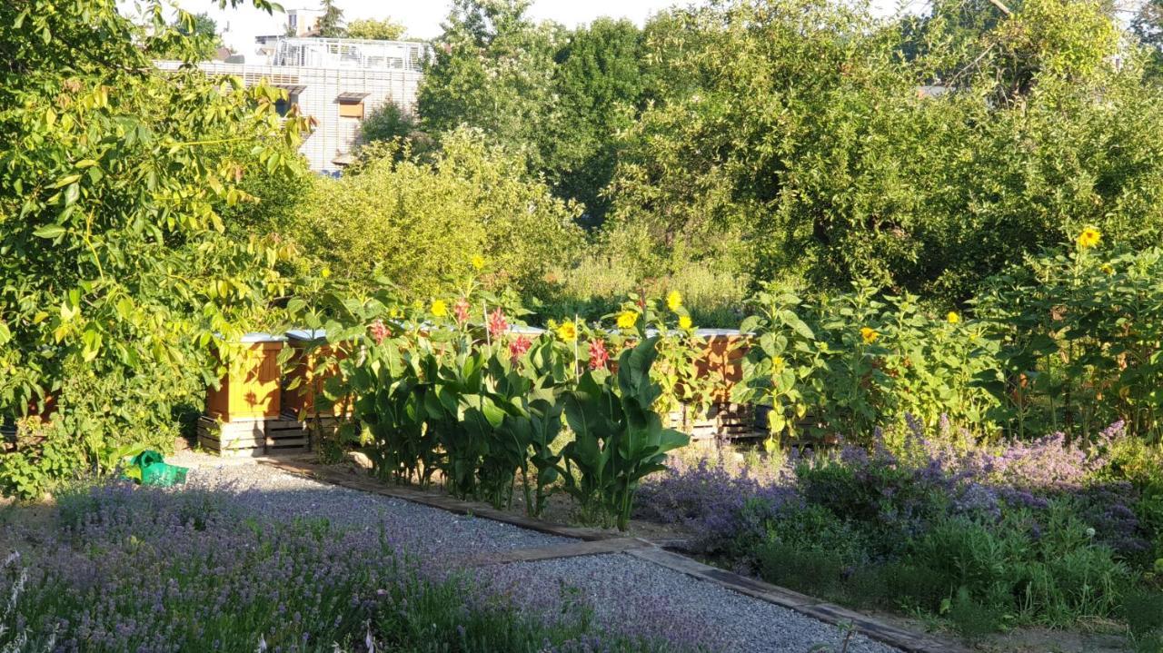 Agroturystyka U Joli Pacanow Exterior foto